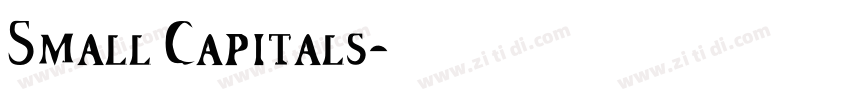 Small Capitals字体转换 Small Capitals字体转换